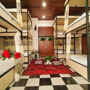 8-Bed Mixed Dormitory Room